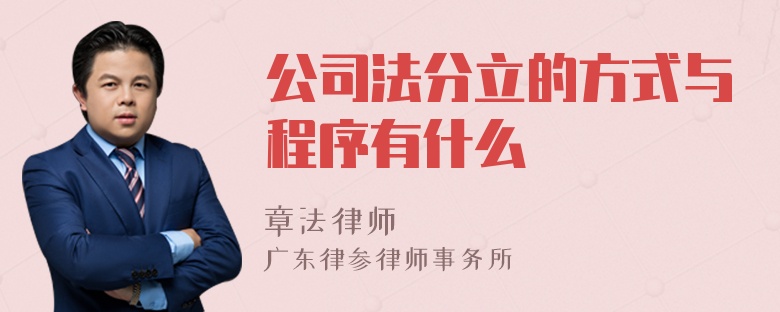 公司法分立的方式与程序有什么