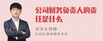 公司财务负责人的责任是什么