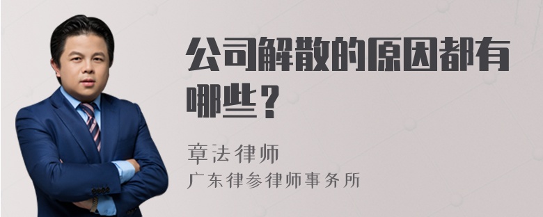 公司解散的原因都有哪些？