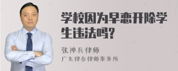 学校因为早恋开除学生违法吗?