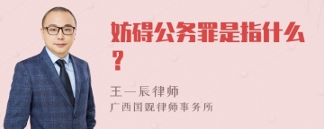 妨碍公务罪是指什么？