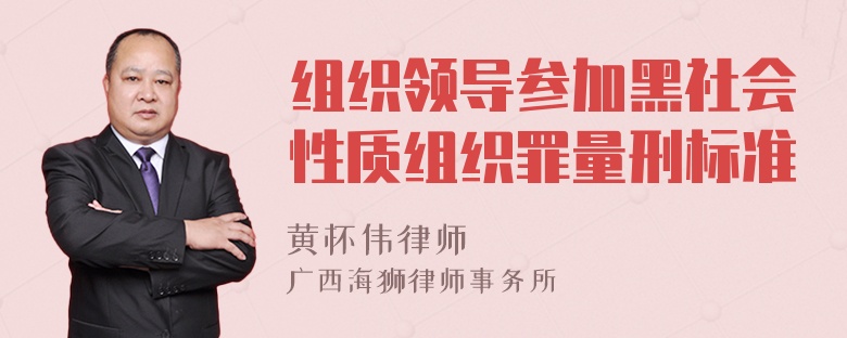 组织领导参加黑社会性质组织罪量刑标准