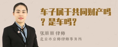 车子属于共同财产吗？是车吗？