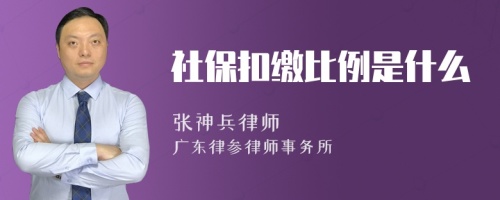 社保扣缴比例是什么