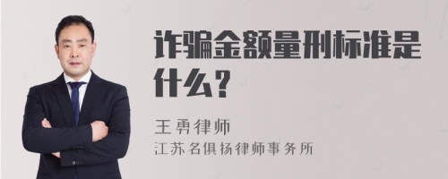 诈骗金额量刑标准是什么？