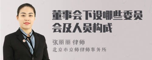 董事会下设哪些委员会及人员构成