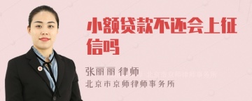 小额贷款不还会上征信吗