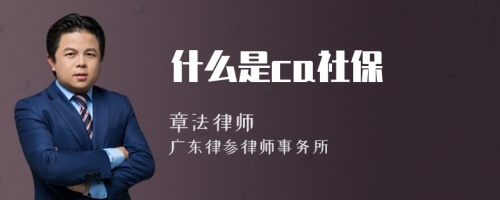 什么是ca社保