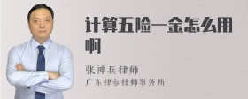 计算五险一金怎么用啊