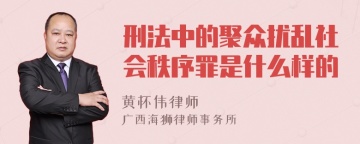 刑法中的聚众扰乱社会秩序罪是什么样的