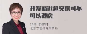 开发商迟延交房可不可以退房