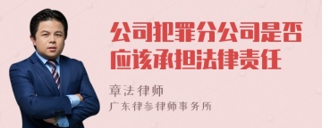 公司犯罪分公司是否应该承担法律责任