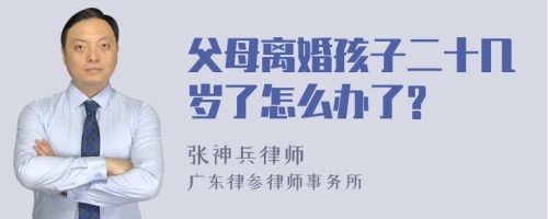 父母离婚孩子二十几岁了怎么办了?