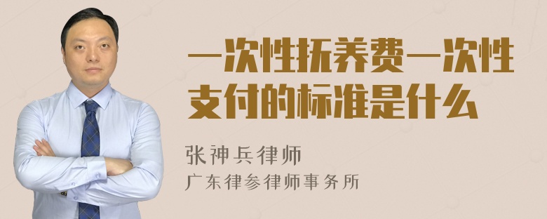 一次性抚养费一次性支付的标准是什么