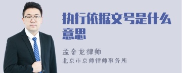 执行依据文号是什么意思