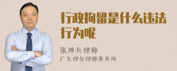 行政拘留是什么违法行为呢