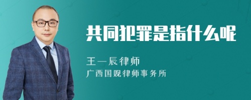 共同犯罪是指什么呢