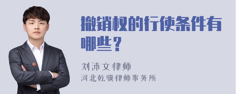 撤销权的行使条件有哪些？