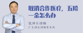 取消合作医疗，五险一金怎么办