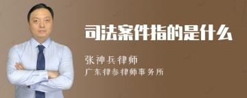 司法案件指的是什么