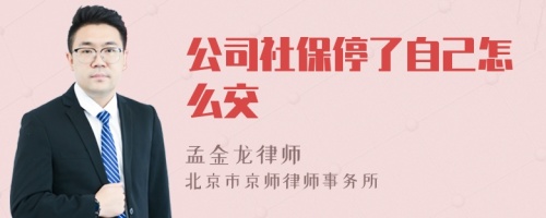 公司社保停了自己怎么交