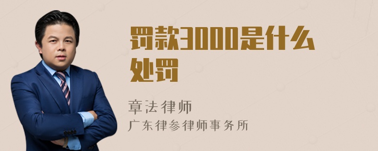 罚款3000是什么处罚