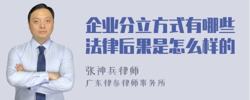 企业分立方式有哪些法律后果是怎么样的