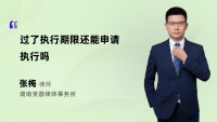 过了执行期限还能申请执行吗