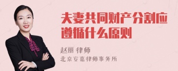 夫妻共同财产分割应遵循什么原则