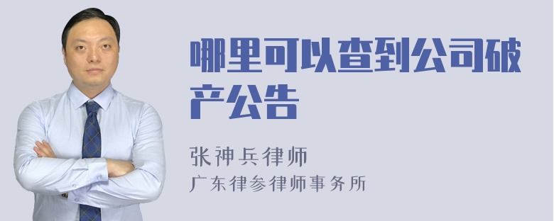 哪里可以查到公司破产公告