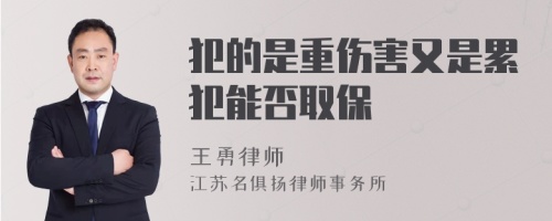 犯的是重伤害又是累犯能否取保