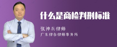 什么是商检判刑标准