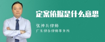 定案依据是什么意思