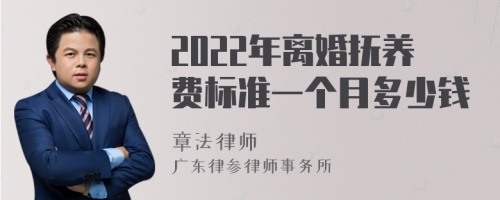 2022年离婚抚养费标准一个月多少钱