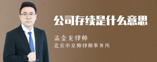 公司存续是什么意思