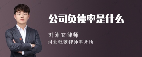 公司负债率是什么