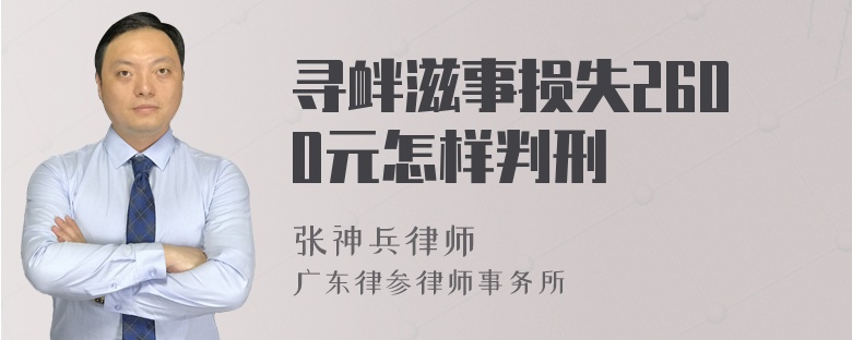 寻衅滋事损失2600元怎样判刑