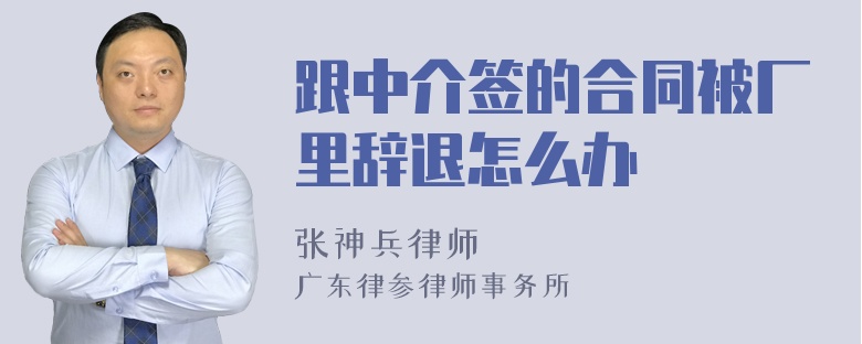 跟中介签的合同被厂里辞退怎么办