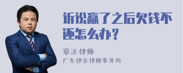 诉讼赢了之后欠钱不还怎么办？