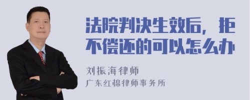 法院判决生效后，拒不偿还的可以怎么办