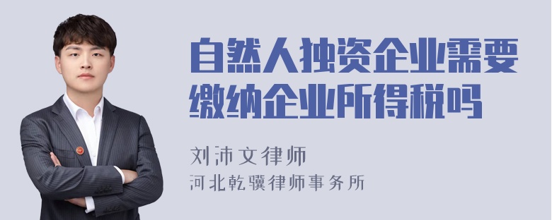 自然人独资企业需要缴纳企业所得税吗