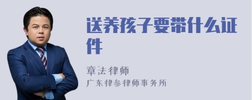 送养孩子要带什么证件