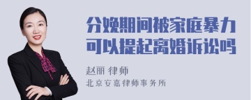 分娩期间被家庭暴力可以提起离婚诉讼吗