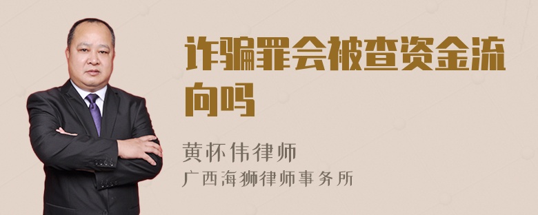 诈骗罪会被查资金流向吗