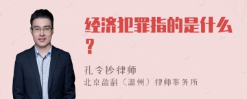 经济犯罪指的是什么？