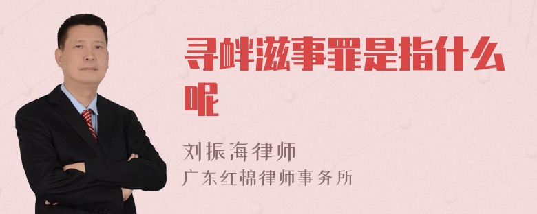寻衅滋事罪是指什么呢