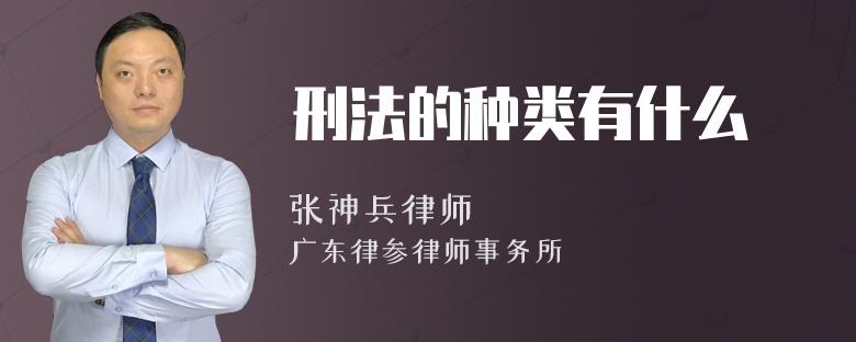 刑法的种类有什么