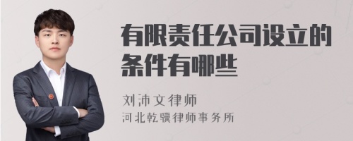 有限责任公司设立的条件有哪些