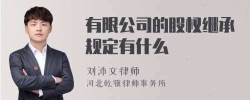 有限公司的股权继承规定有什么