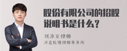 股份有限公司的招股说明书是什么？